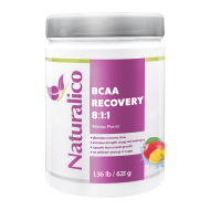 NATURALICO BCAA Recovery 8:1:1 621 г