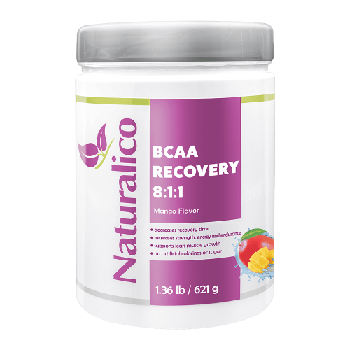 NATURALICO BCAA Recovery 8:1:1 621 г