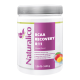 NATURALICO BCAA Recovery 8:1:1 621 г