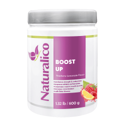 NATURALICO Boost Up 600 г