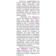 NATURALICO Ionic Magnesium 400 мл