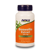 NOW Boswellia Extract (250mg) 60 растителни капсули