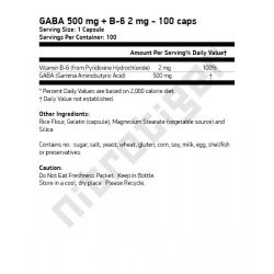 NOW GABA 500 мг with B-6 100 растителни капсули