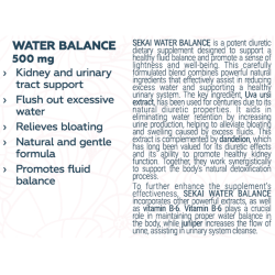 SEKAI KATSURYOKU Water Balance 48 капсули